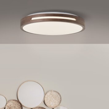 Brilliant Woodbury Lampa Sufitowa LED Biały, 1-punktowy