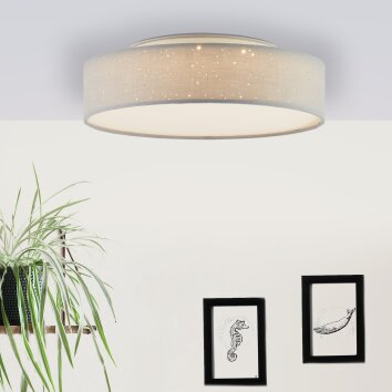 Brilliant Baska Lampa Sufitowa LED Biały, 1-punktowy