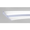 Lampa Wisząca Paul Neuhaus Q-Riller LED Chrom, 14-punktowe, Zdalne sterowanie, Zmieniacz kolorów