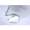 Lampa Sufitowa Paul Neuhaus Q-Orbit LED Aluminium, 1-punktowy, Zdalne sterowanie
