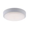 Paul Neuhaus Q-LENNY Lampa Sufitowa LED Biały, 1-punktowy, Zdalne sterowanie, Zmieniacz kolorów