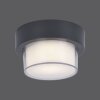 Paul Neuhaus Q-ERIK Oświetlenie ścienne i sufitowe LED Biały, 1-punktowy, Czujnik ruchu, Zdalne sterowanie, Zmieniacz kolorów