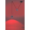 Paul Neuhaus Q-ADAM Lampa Wisząca LED Stal nierdzewna, 1-punktowy, Zdalne sterowanie, Zmieniacz kolorów