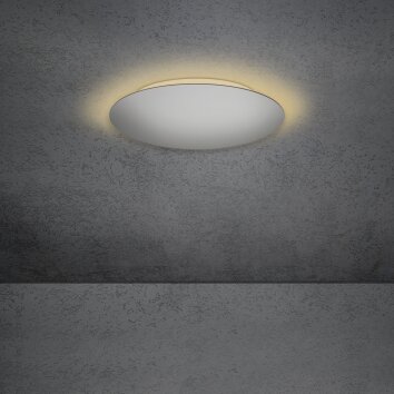 Escale BLADE Lampa Sufitowa LED Srebrny, 1-punktowy