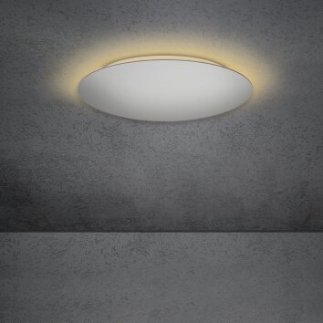 Escale BLADE Lampa Sufitowa LED Srebrny, 1-punktowy