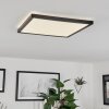 Folgares Lampa Sufitowa LED Czarny, 1-punktowy