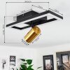 Reboleiro Lampa Sufitowa LED Czarny, 2-punktowe