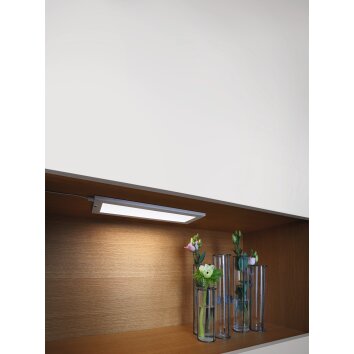 LEDVANCE Cabinet Oświetlenie podszafkowe Biały, 1-punktowy, Czujnik ruchu