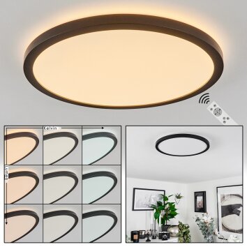Sasinhosa Lampa Sufitowa LED Czarny, 1-punktowy, Zdalne sterowanie