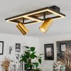 Reboleiro Lampa Sufitowa LED Czarny, 3-punktowe