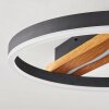 Angtasom Lampa Sufitowa LED Brązowy, Wygląd drewna, Czarny, 1-punktowy, Zdalne sterowanie