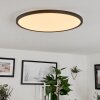 Hortinhas Lampa Sufitowa LED Czarny, 1-punktowy, Zdalne sterowanie, Zmieniacz kolorów