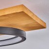 Pompu Lampa Sufitowa LED Ecru, Czarny, 1-punktowy