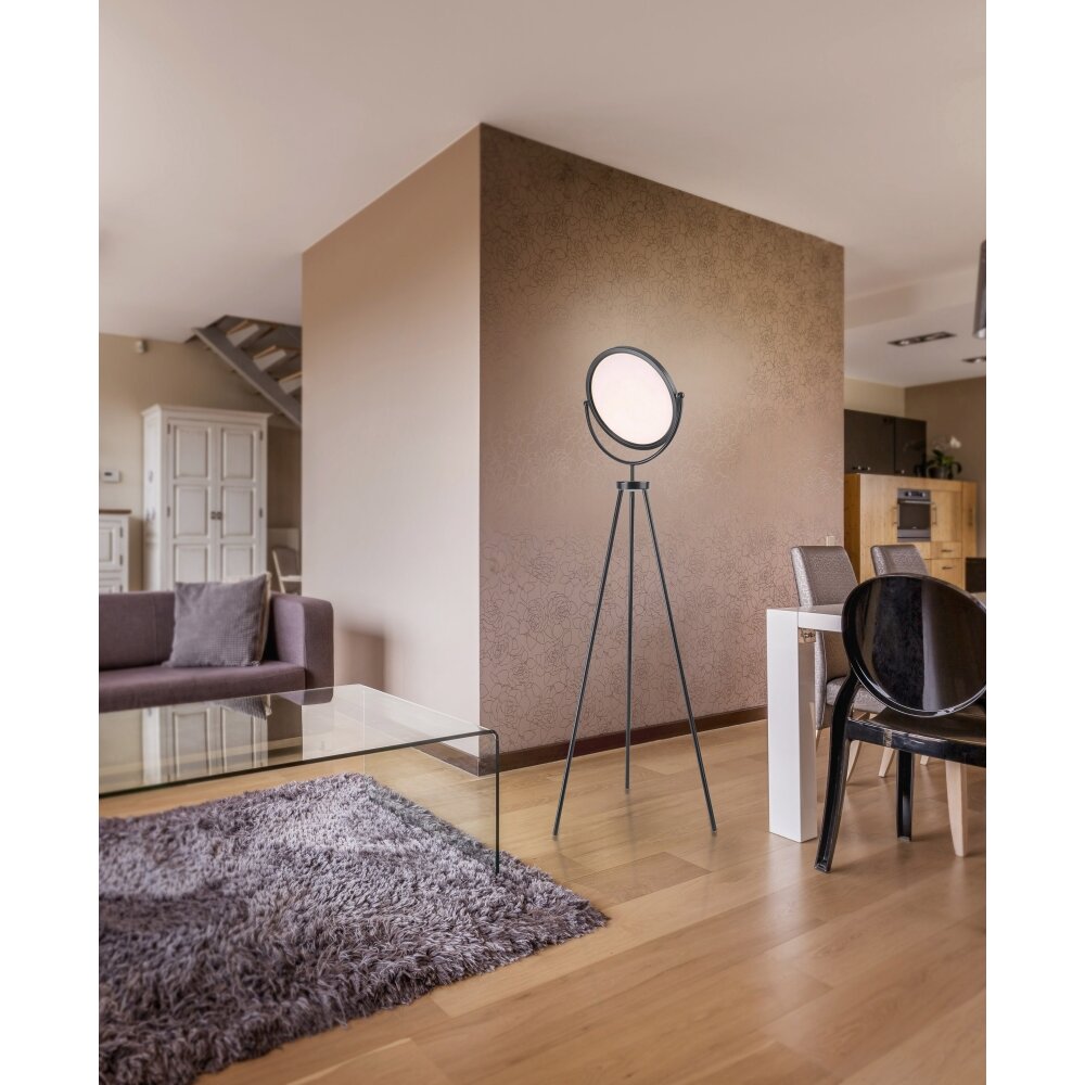 Leuchten-Direkt CARL Lampa Stojąca LED Czarny, 1-punktowy main product photo