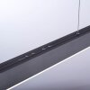 Paul Neuhaus PURE-MOTO Lampa Wisząca LED Szary, 3-punktowe, Zdalne sterowanie