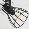 Tros Lampa Sufitowa Ecru, Czarny, 3-punktowe