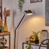 Artemide TOLOMEO Lampa Stojąca Chrom, Czarny, 1-punktowy