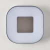 Zewnętrzny kinkiet Feldsted LED Srebrny, 1-punktowy, Zmieniacz kolorów
