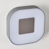 Zewnętrzny kinkiet Feldsted LED Srebrny, 1-punktowy, Zmieniacz kolorów