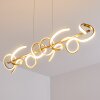 Lavaca Lampa Wisząca LED złoty, 4-punktowe