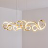 Lavaca Lampa Wisząca LED złoty, 4-punktowe