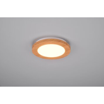 Reality Camillus Lampa Sufitowa LED Wygląd drewna, Biały, 1-punktowy Reality Camillus Lampa Sufitowa LED Wygląd drewna, Biały, 1-punktowy