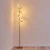 Lavaca Lampa Stojąca LED złoty, 2-punktowe