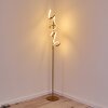 Lavaca Lampa Stojąca LED złoty, 2-punktowe
