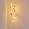 Lavaca Lampa Stojąca LED złoty, 2-punktowe