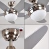 Lampy sufitowe z wentylatorem Morino Nikiel matowy, Srebrny, 2-punktowe, Zdalne sterowanie