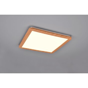 Reality Camillus Lampa Sufitowa LED Wygląd drewna, Biały, 1-punktowy