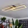 Hyacinthe Lampa Sufitowa LED Czarny, 1-punktowy, Zdalne sterowanie
