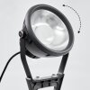 Phniet Reflektor ogrodowy LED Czarny, 1-punktowy, Zdalne sterowanie, Zmieniacz kolorów