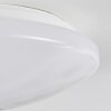 Stungchhveng Lampa Sufitowa LED Biały, 1-punktowy
