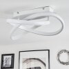 Cochato Lampa Sufitowa LED Biały, 1-punktowy