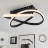 Cochato Lampa Sufitowa LED Czarny, 1-punktowy