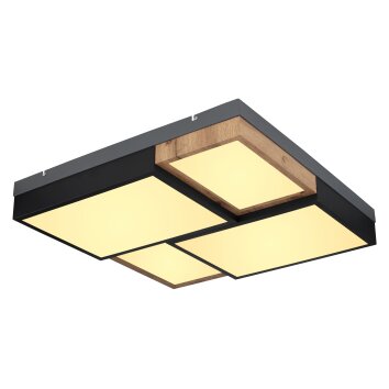 Globo GUNDI Lampa Sufitowa LED Biały, 1-punktowy