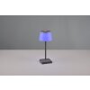 Reality Sanchez Lampa stołowa LED Antracytowy, 1-punktowy, Zmieniacz kolorów