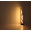 Globo GERONIMO Lampa Stojąca LED Wygląd drewna, Czarny, 1-punktowy