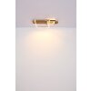 Globo VANNI Lampa Sufitowa LED Wygląd drewna, Biały, 1-punktowy
