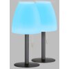 FHL easy Fiumara Lampa stołowa LED Czarny, 1-punktowy, Zdalne sterowanie, Zmieniacz kolorów