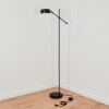 Camori Lampa Stojąca Czarny, 1-punktowy