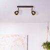 Brilliant Daintree Lampa Sufitowa Ecru, Czarny, 2-punktowe