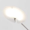 Steinhauer Daphne Lampa Stojąca LED Stal szczotkowana, 1-punktowy