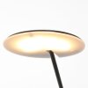Steinhauer Daphne Lampa Stojąca LED Czarny, 1-punktowy