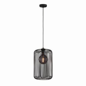 SCHÖNER WOHNEN-Kollektion Cage Lampa Wisząca Czarny, 1-punktowy