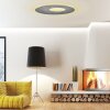 Escale BLADE OPEN Lampa Sufitowa LED Szary, 1-punktowy