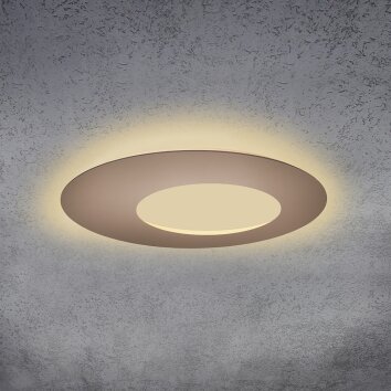 Escale BLADE OPEN Lampa Sufitowa LED Brązowy, 1-punktowy