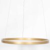 Steinhauer Ringlux Lampa Wisząca LED Złoty, 2-punktowe