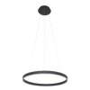 Steinhauer Ringlux Lampa Wisząca LED Czarny, 2-punktowe